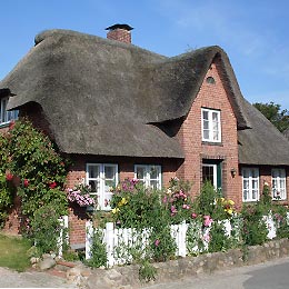 Reetdach-Friesenhaus im Ort Nebel